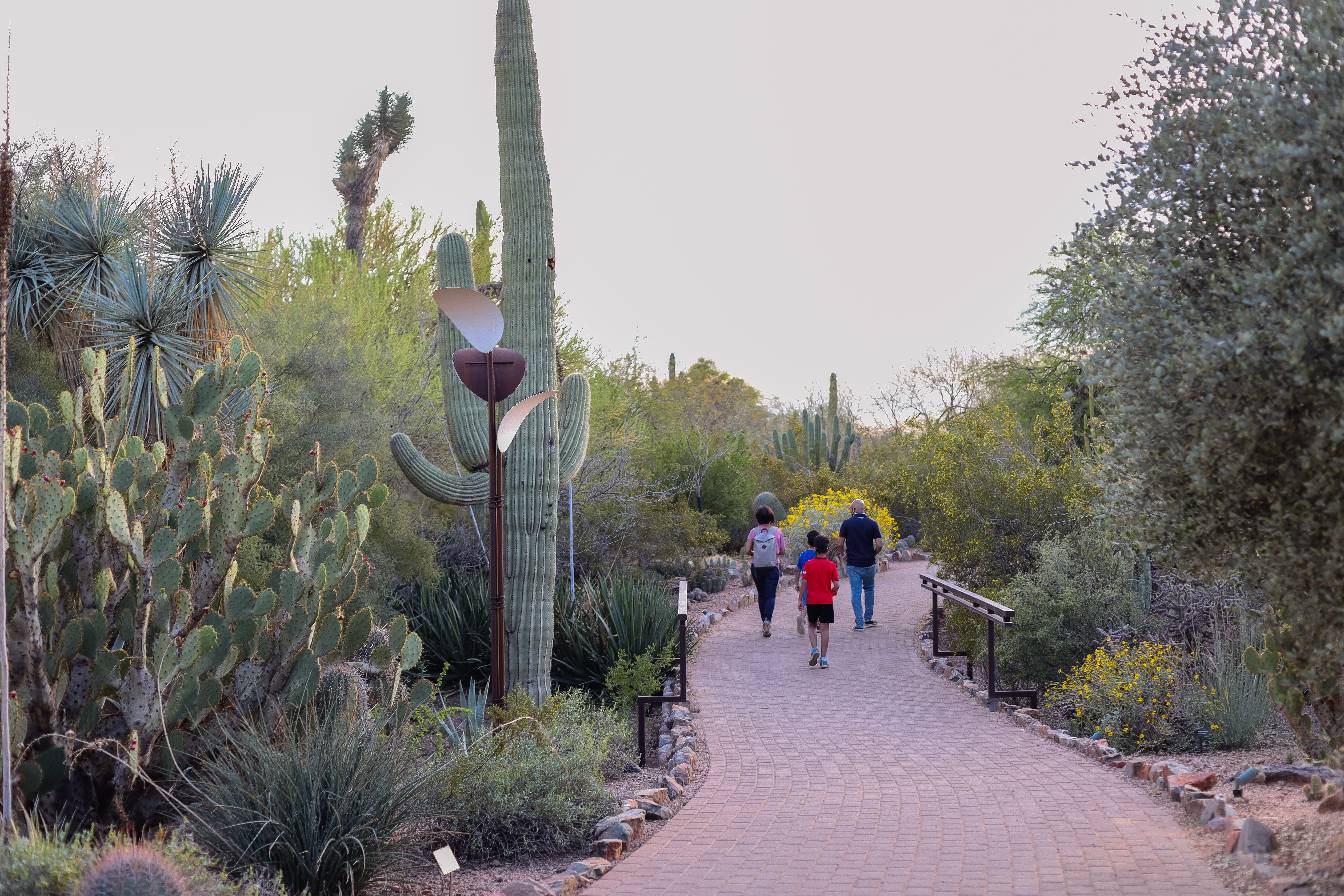 free things to do in phoenix